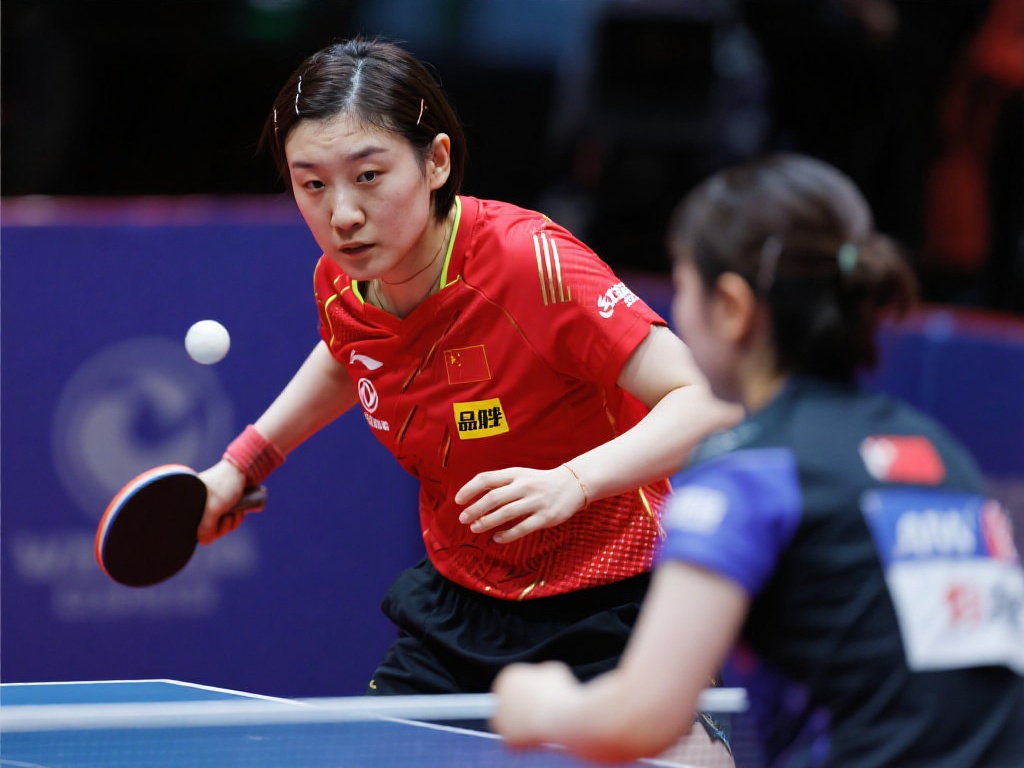 都不敢懈怠 都不敢懈怠